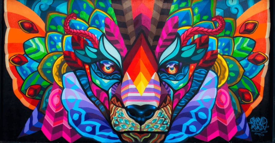 farid rueda