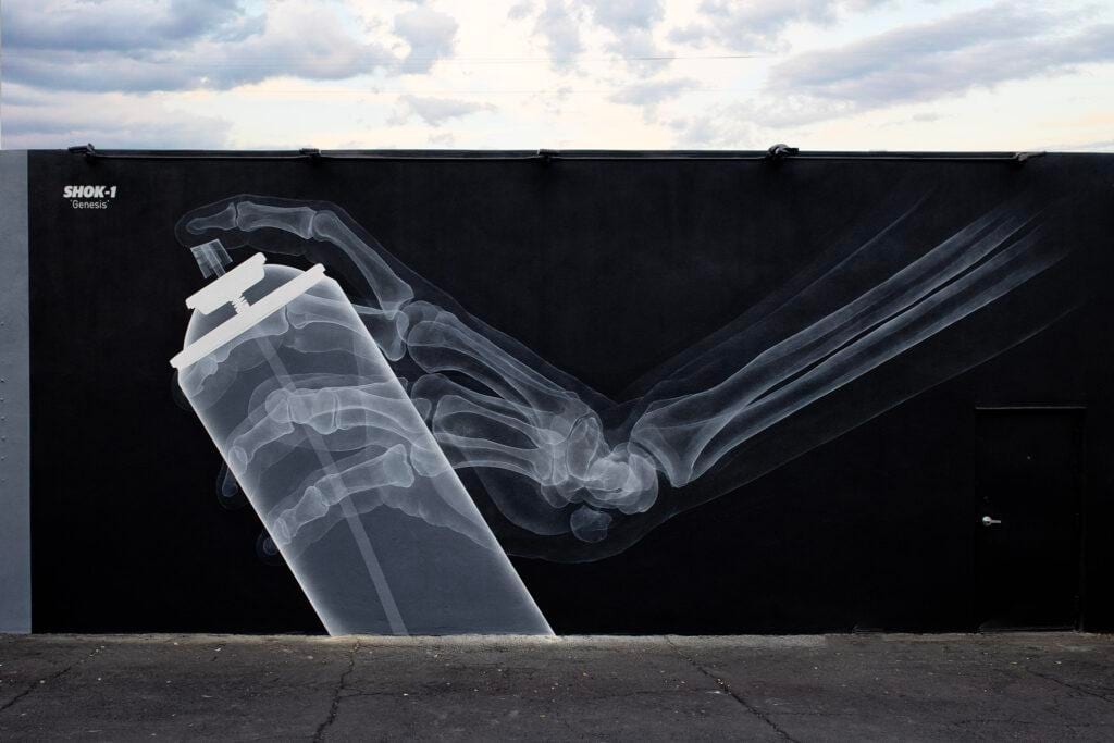 Shok-1